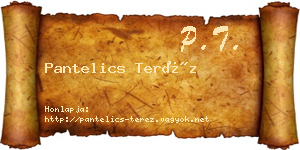 Pantelics Teréz névjegykártya
